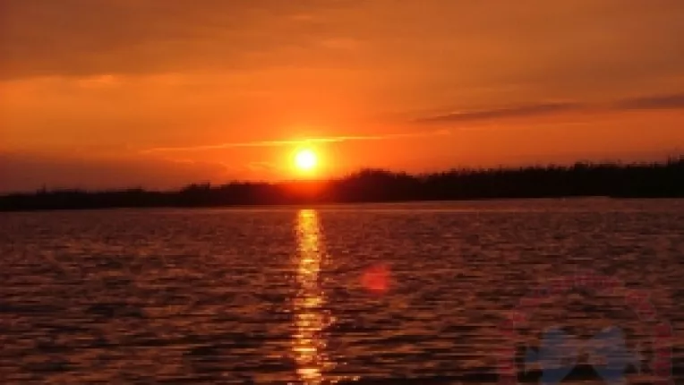 Amurgul portocaliu:  Saakasvili, Iuscenko si Basescu   - trei crai pe un trend descendent