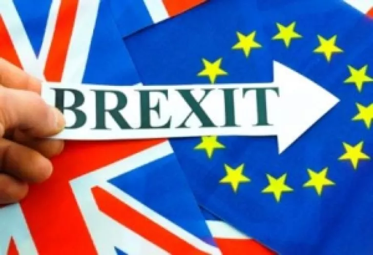 BREXIT: Reactiile Frantei si Germaniei