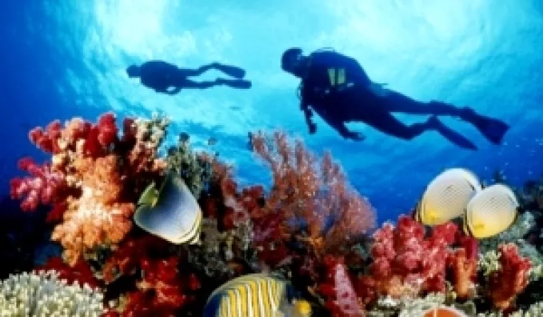 Catlin Seaview Survey: Incursiune cu Google in recifele din arhipelagul Bermuda