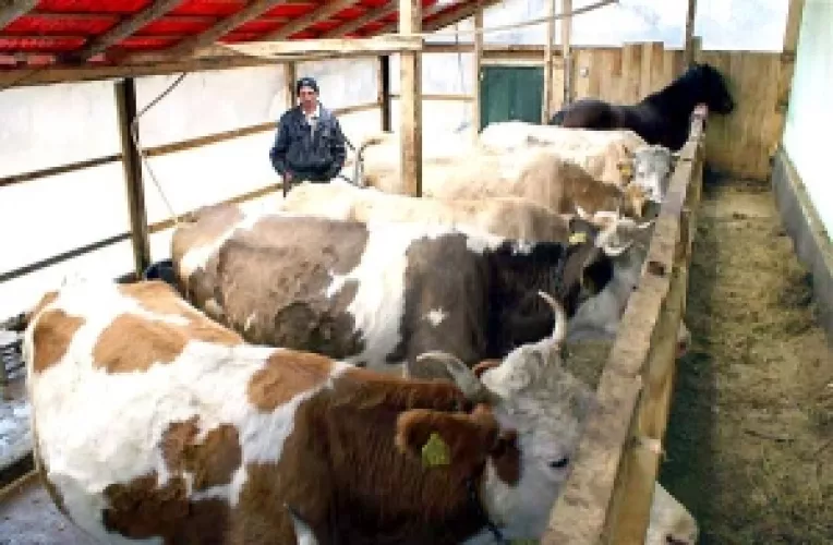 Fermierii vor primi subventia pentru 2010 inca din acest an