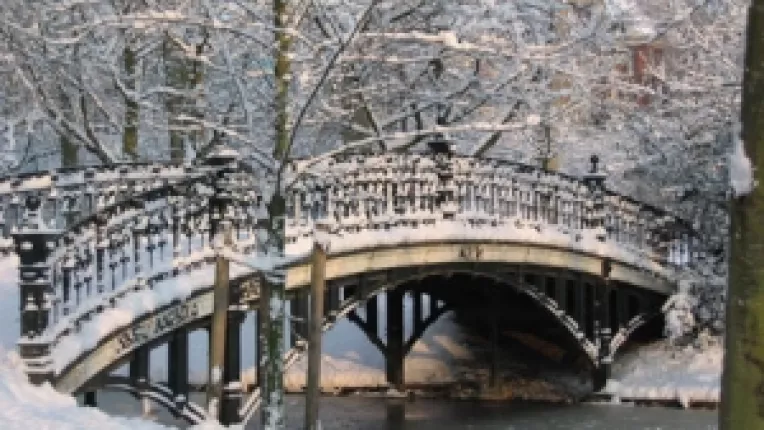 Horoscop: Saptamana 9 - 15 Decembrie 2013