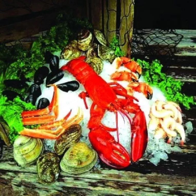 In vedera diminuarii importurilor la peste si crustacee, Acvacultura, scoasa la suprafata pe banii U.E.