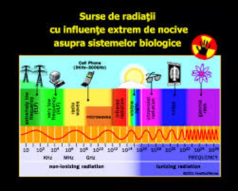 Interviu cu fizicianul Ancu Dinca, inventatorul modulatorilor bio-fito-dinamici  (5)