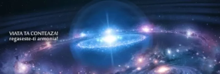 Interviu cu fizicianul Ancu Dinca, inventatorul modulatorilor bio-fito-dinamici  (6)