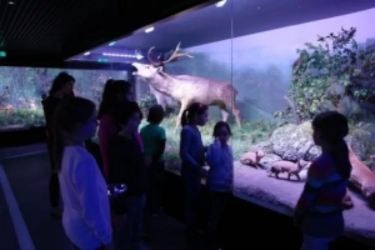 Intrare gratuita  de martisor, pentru doamne si domnisoare, la Muzeul Antipa