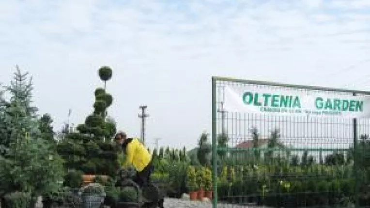 Oltenia Garden, o afacere infloritoare