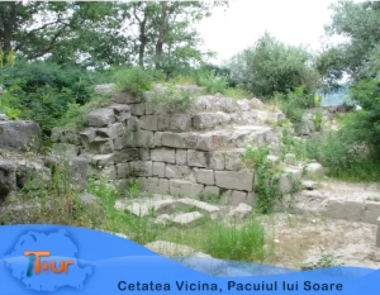 Reportaj din paradisul de la Dunare: Insula Pacuiul lui Soare