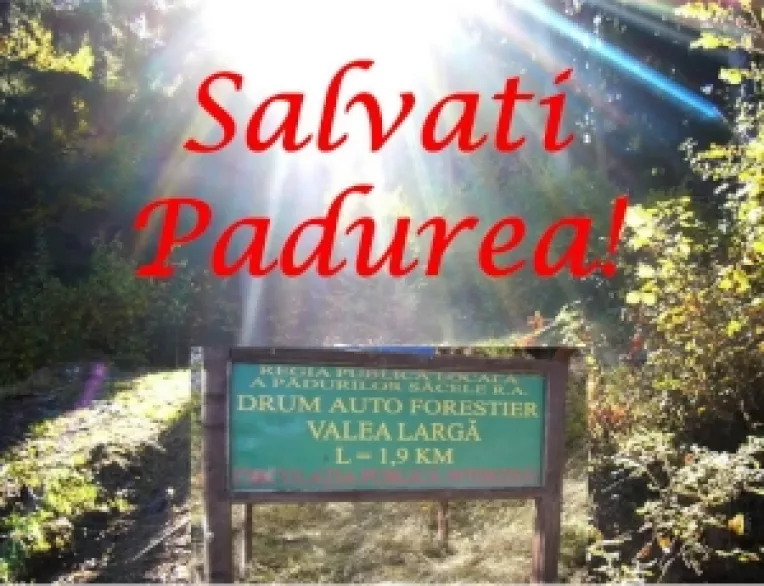 Sa salvam aurul verde al Romaniei!