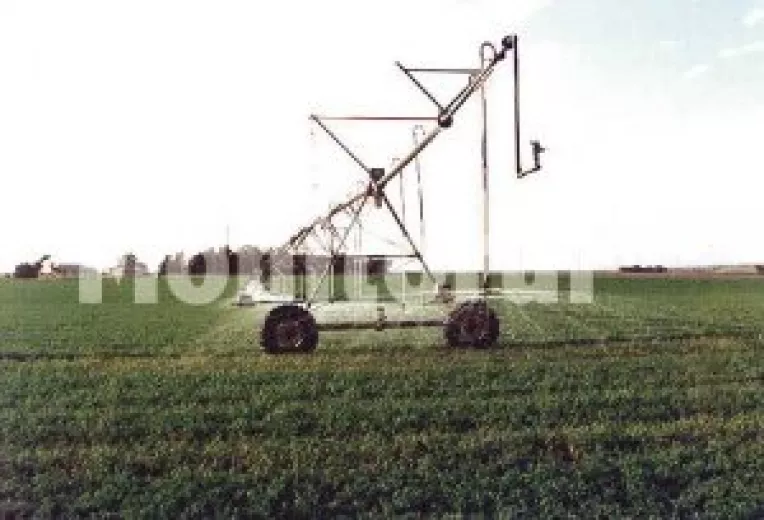 Seceta provoaca pagube de milioane de lei in agricultura