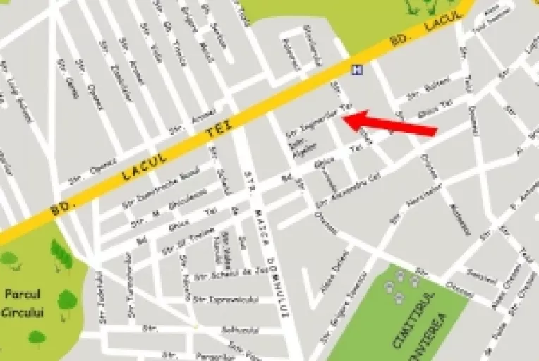 Strada Inginerilor Tei din sectorul 2 al Capitalei: Taramul cainilor vagabonzi si agresivi