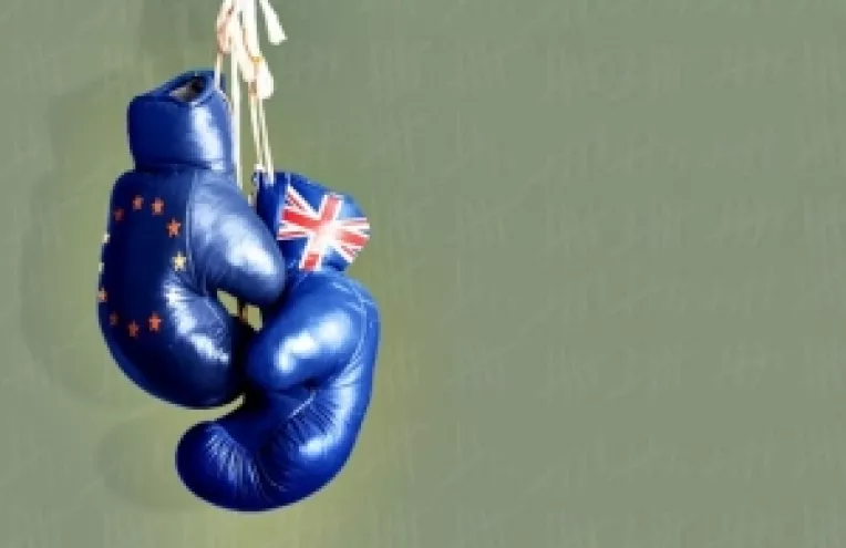 UE cere Marii Britanii sa nu prelungeasca iesirea, in timp ce FMI ar vrea o tranzitie lina